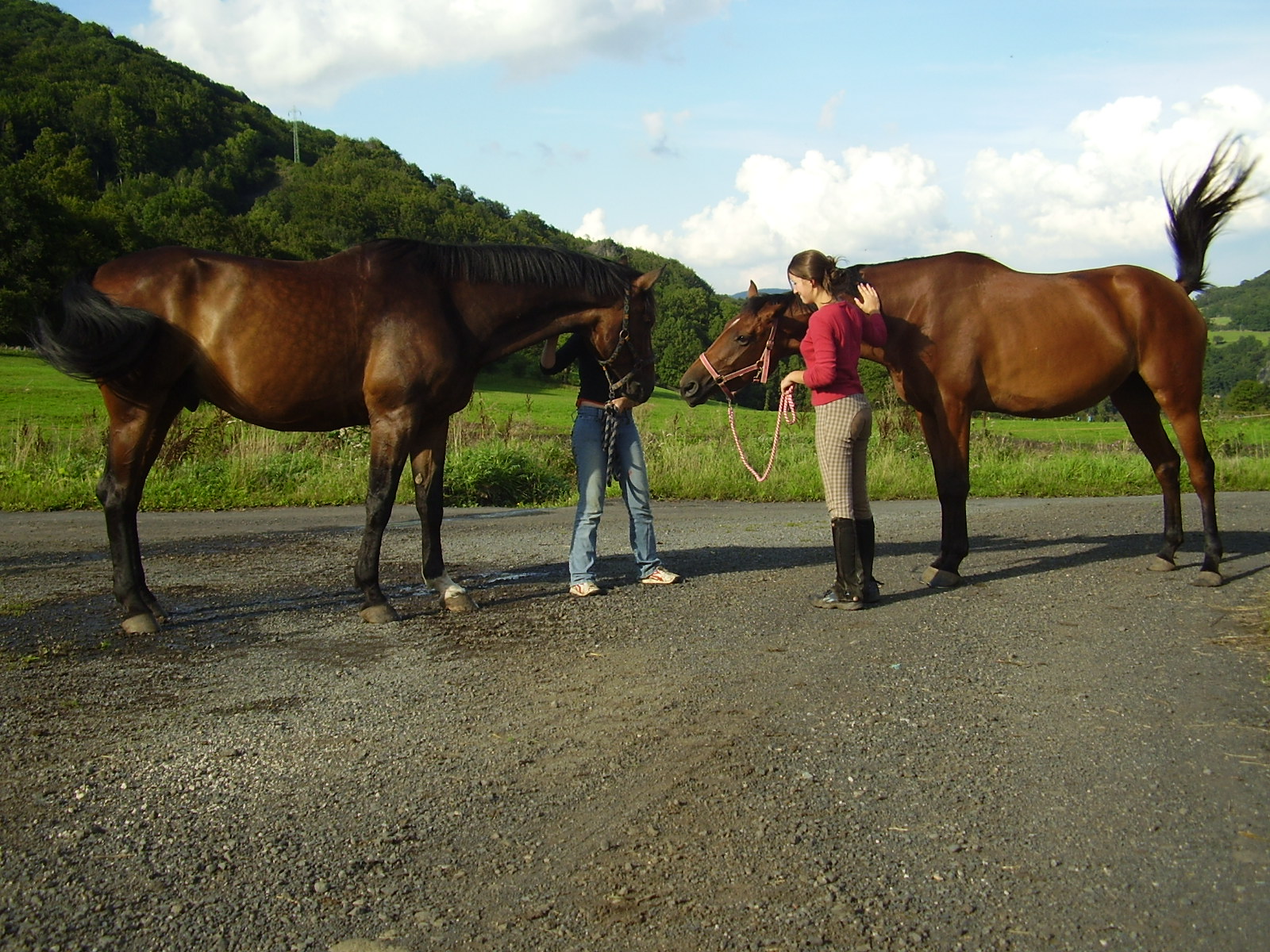 Prince a Picadela